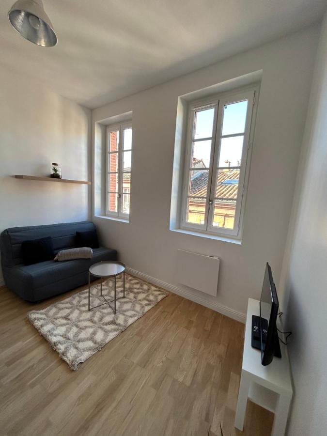 Le Cygne Blanc Apartman Toulouse Kültér fotó