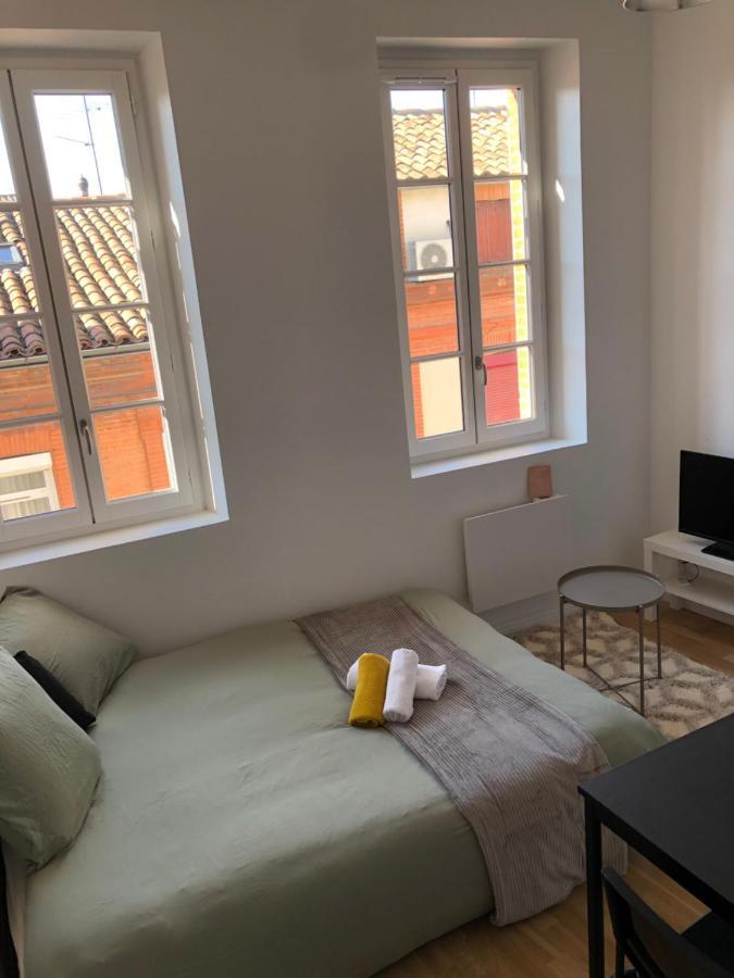 Le Cygne Blanc Apartman Toulouse Kültér fotó